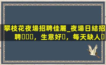 四川酒吧招聘